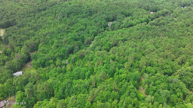164 Shippee Rd, Day, NY 12822 - photo 3