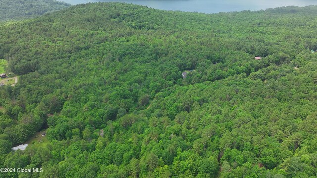 164 Shippee Rd, Day, NY 12822 - photo 5