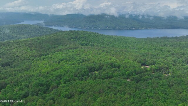 164 Shippee Rd, Day, NY 12822 - photo 6