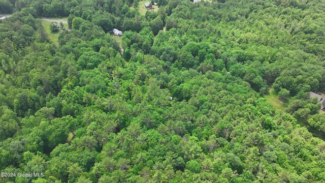 164 Shippee Rd, Day, NY 12822 - photo 9