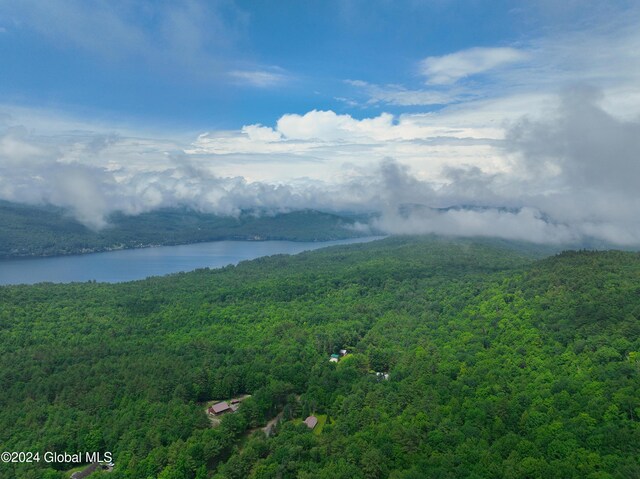 164 Shippee Rd, Day, NY 12822 - photo 7