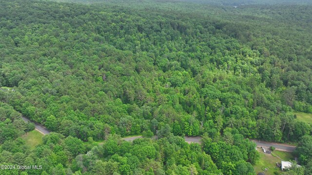 164 Shippee Rd, Day, NY 12822 - photo 14