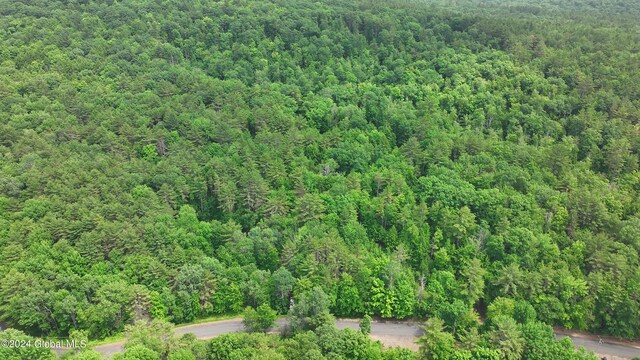 164 Shippee Rd, Day, NY 12822 - photo 11
