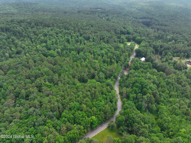 164 Shippee Rd, Day, NY 12822 - photo 15