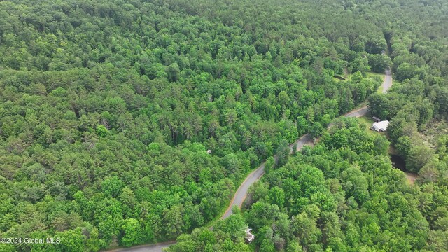 164 Shippee Rd, Day, NY 12822 - photo 16
