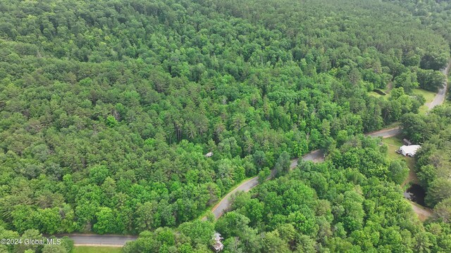 164 Shippee Rd, Day, NY 12822 - photo 17