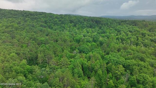 164 Shippee Rd, Day, NY 12822 - photo 12