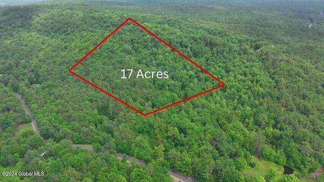 164 Shippee Rd, Day, NY 12822 - photo 1