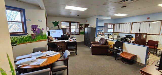 office with carpet, a wealth of natural light, and a drop ceiling