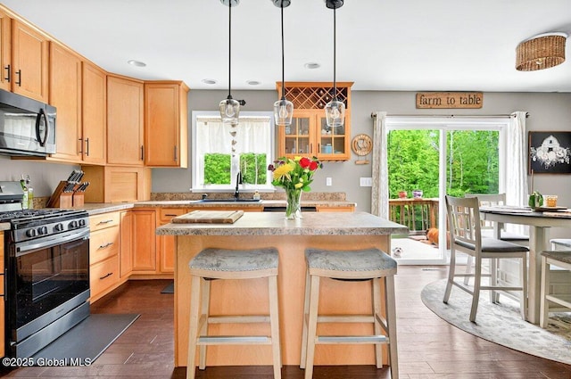 33 Sherman Way, Ballston Spa, NY 12020 - kitchen featuring stainless steel appliances, a sink, plenty of natural light, dark wood finished floors, and recessed lighting
