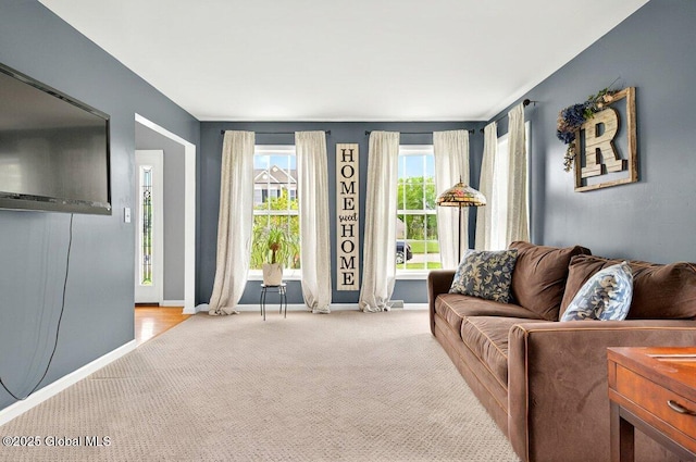 33 Sherman Way, Ballston Spa, NY 12020 - living area featuring light carpet and baseboards