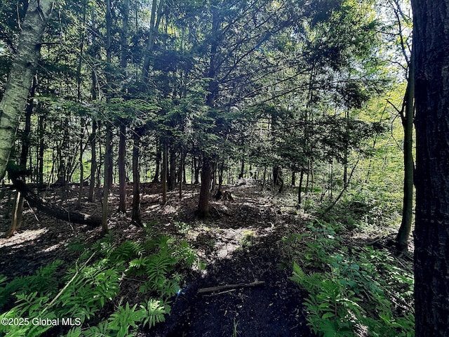 33 Sherman Way, Ballston Spa, NY 12020 - view of local wilderness