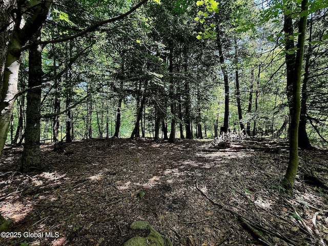 33 Sherman Way, Ballston Spa, NY 12020 - view of wooded area