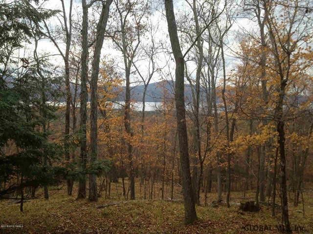 LOT1 Valley Woods Rd, Bolton NY, 12814 land for sale