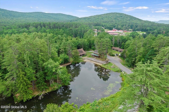 birds eye view of property featuring a water and mountain view