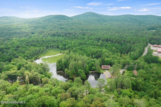 bird's eye view with a water and mountain view