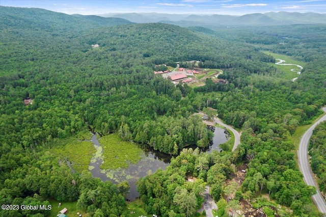 drone / aerial view with a mountain view