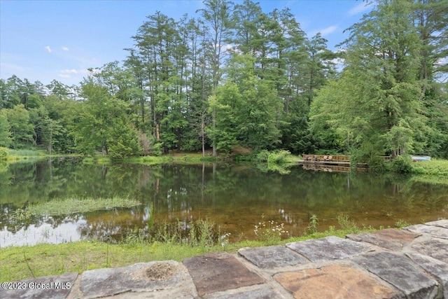 view of property view of water