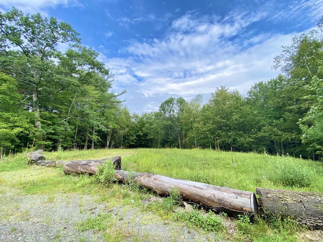 370 County Route 10, Corinth NY, 12822 land for sale