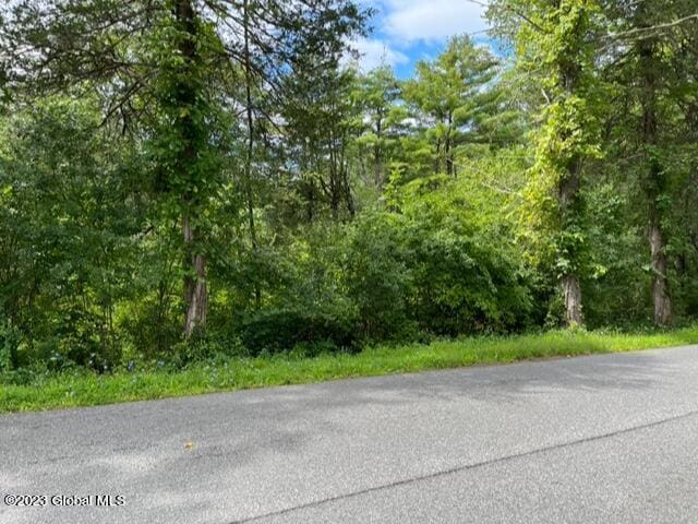 L17.1 All Peat Beds Rd, Coxsackie NY, 12051 land for sale