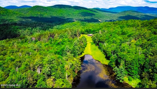 aerial view with a mountain view