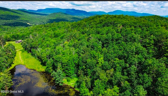 bird's eye view with a mountain view