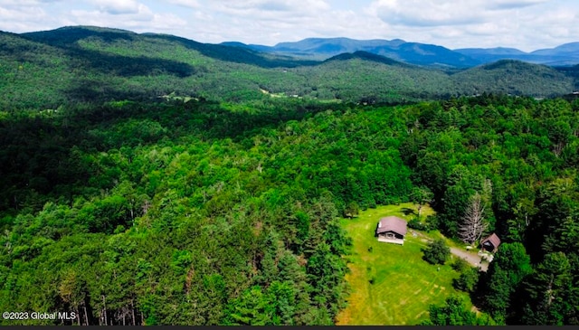 bird's eye view with a mountain view