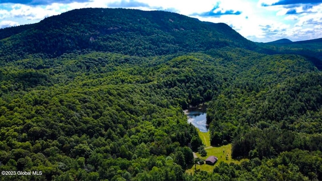 view of mountain feature featuring a water view