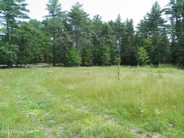 L4 Silver Lake Rd, Black Brook NY, 12912 land for sale