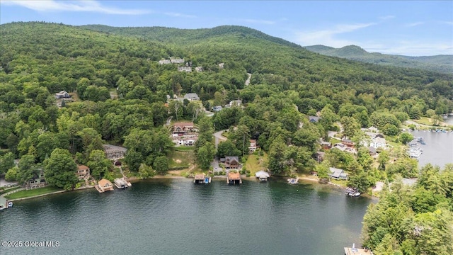 41 Trinity Rock Rd, Lake George, NY 12845 - aerial view of a forest and a water and mountain view