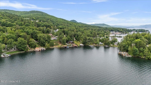 41 Trinity Rock Rd, Lake George, NY 12845 - aerial view of a heavily wooded area and a water and mountain view