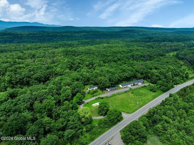 9075 Rte 9w Lot 3, Athens, NY 12015 - photo 3