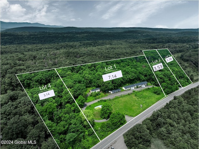 Listing photo 2 for 9073 Rte 9w Lot 2, Athens NY 12015