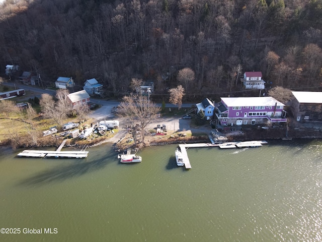82 N Williams St, Whitehall, NY 12887 - aerial view with a water view and a forest view