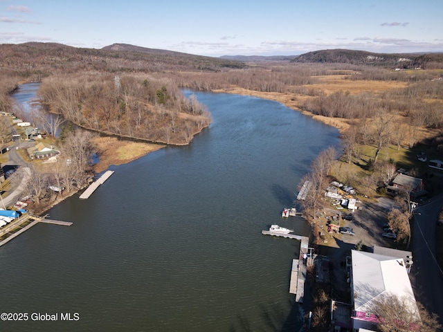 82 N Williams St, Whitehall, NY 12887 - birds eye view of property with a water and mountain view