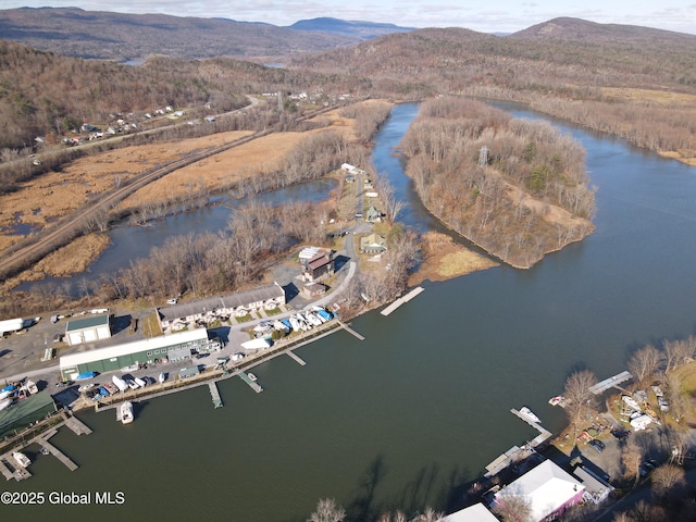 82 N Williams St, Whitehall, NY 12887 - bird's eye view featuring a water and mountain view