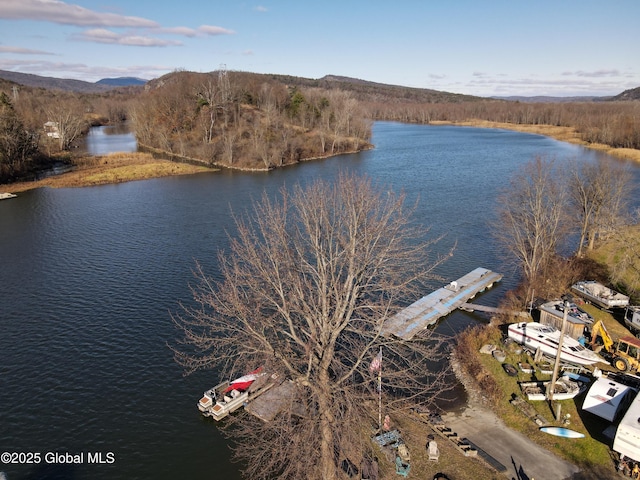 82 N Williams St, Whitehall, NY 12887 - birds eye view of property featuring a water view and a forest view