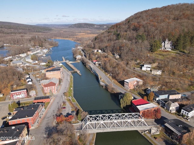82 N Williams St, Whitehall, NY 12887 - bird's eye view with a water and mountain view and a wooded view
