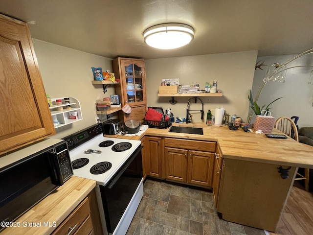82 N Williams St, Whitehall, NY 12887 - kitchen with a sink, wooden counters, open shelves, and range with electric stovetop