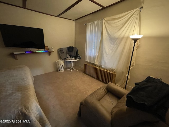 82 N Williams St, Whitehall, NY 12887 - sitting room with radiator heating unit and carpet