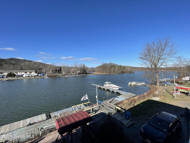 82 N Williams St, Whitehall, NY 12887 - dock area with a water view