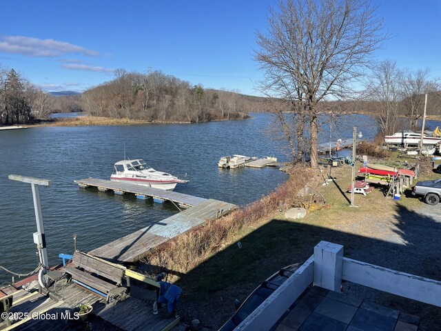 82 N Williams St, Whitehall, NY 12887 - dock area with a water view
