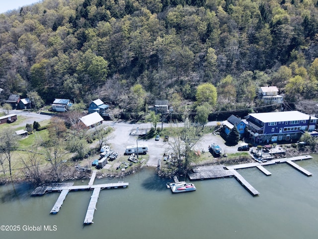 82 N Williams St, Whitehall, NY 12887 - bird's eye view featuring a water view and a wooded view