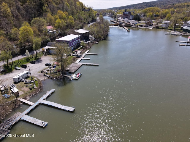 82 N Williams St, Whitehall, NY 12887 - bird's eye view featuring a water view and a forest view