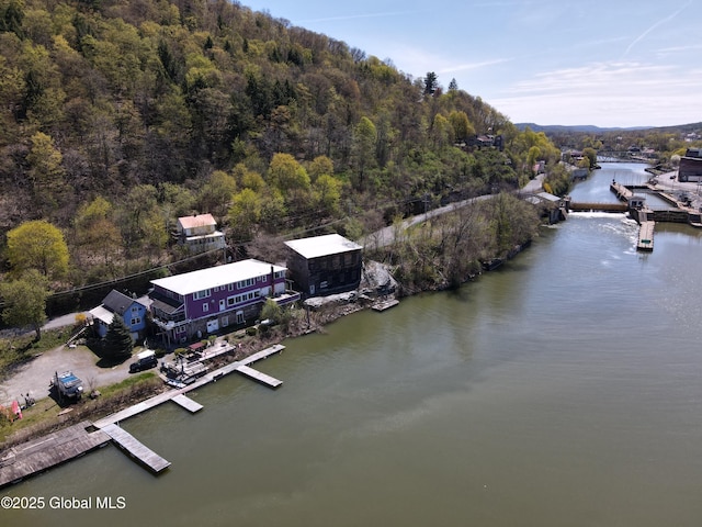 82 N Williams St, Whitehall, NY 12887 - bird's eye view with a water view and a forest view