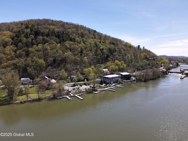 82 N Williams St, Whitehall, NY 12887 - property view of water featuring a forest view