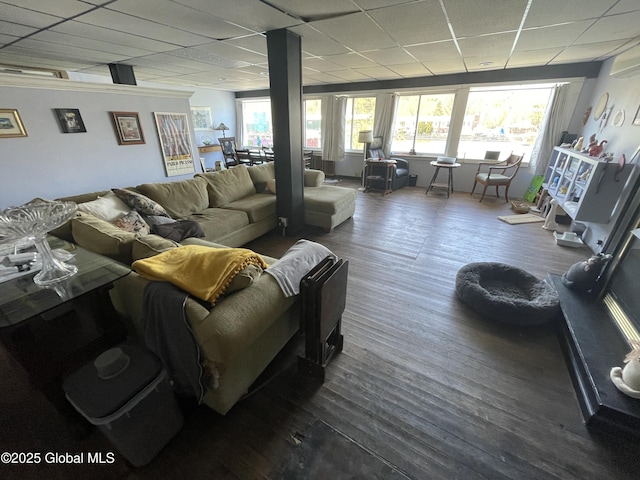 82 N Williams St, Whitehall, NY 12887 - living area with dark wood-style floors, a drop ceiling, and plenty of natural light