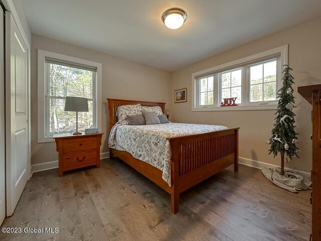 bedroom featuring hardwood / wood-style floors