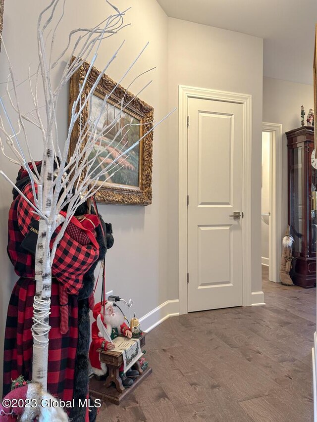 interior space featuring hardwood / wood-style flooring