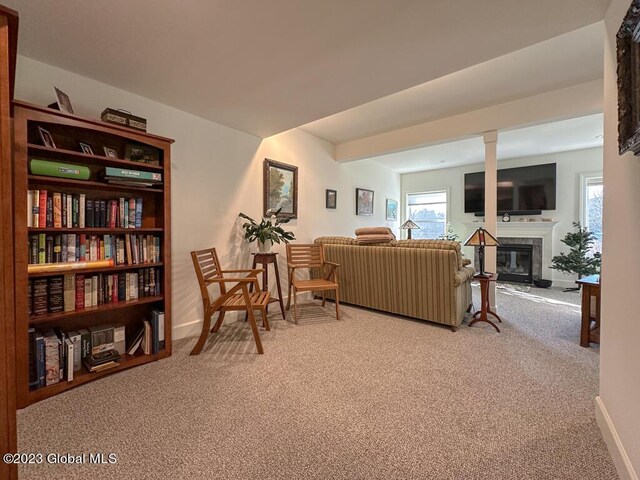 living area with carpet flooring and a wealth of natural light